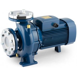 F50/250 AR центробежный насос стандарта "EN 733" Pedrollo 4FN50172AE