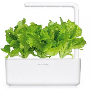  SMART HOME GREEN LETTUCE REF. GLETT-REFILL-3 CLICK&GROW