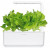  SMART HOME GREEN LETTUCE REF. GLETT-REFILL-3 CLICK&GROW
