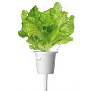  SMART HOME GREEN LETTUCE REF. GLETT-REFILL-3 CLICK&GROW