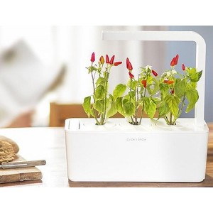  SMART HOME CHILI PEPPER REFILL 3PACK CHIL-REFILL-3 CLICK&GROW