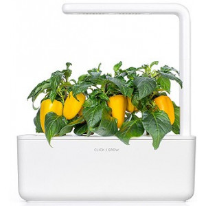  SMART HOME PEPPER REFILL SWEET 3PACK YPEP-REFILL-3 CLICK&GROW