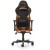Gaming Chairs DXRacer - Racing PRO GC-R131-NO-V2