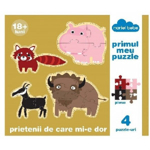 Prietenii de care mi-e dor