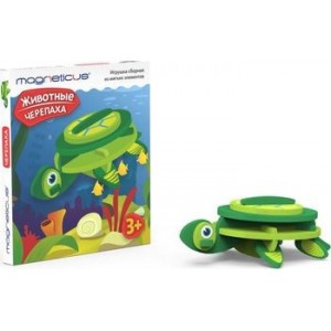 Magneticus constructor "Broasca ?estoasa"