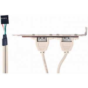 "Cable, Dual USB 2.0 receptacle on bracket, CCUSBRECEPTACLE
-
https://cablexpert.com/item.aspx?id=1117 "