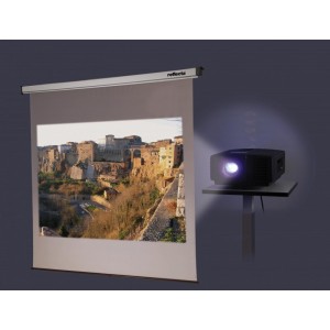 Manual 240x200cm reflecta Rollo SilverLine, 4:3, Rear Projection