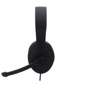 Hama HS-USB300 PC Office Headset, Stereo, black