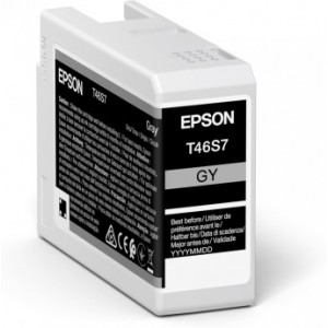 Ink Cartridge Epson T46S7 UltraChrome PRO 10 Ink, Gray, C13T46S700