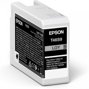 Ink Cartridge Epson T46S9 UltraChrome PRO 10 Ink, Light Gray, C13T46S900