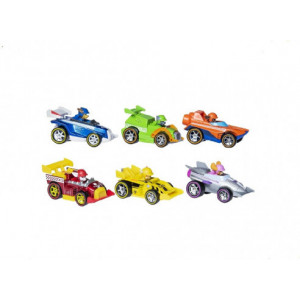 Paw Patrol Die Cast Vehicle Race ast 6054521