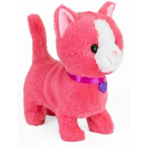 Noriel Pets - Pisicuta Tabby