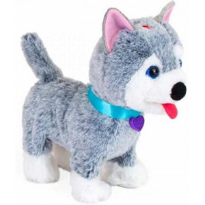 Noriel Pets - Catelusul Oliver