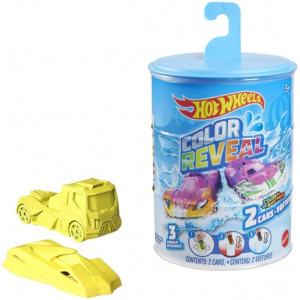 HW Revelatia Culorii in asort.