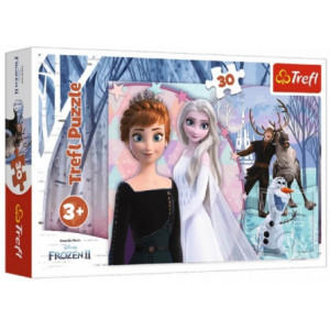 Trefl, Puzzles - 30 - Magical Frozen