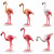 Playmobil PM70351 Flock of Flamingos