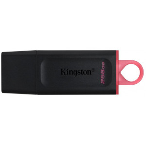  256GB USB Flash Drive Kingston DTX/256GB DataTraveler Exodia, USB 3.2 (memorie portabila Flash USB/внешний накопитель флеш память USB)
