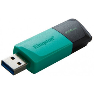 256GB USB3.2  Kingston DataTraveler Exodia M Black/Blue (Read 100 MByte/s, Write 12 MByte/s)
