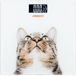 Весы напольные Ardesto SCB-965KNIT макс. вес 150 кг/рисунок