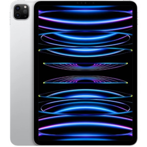 Apple 12.9-inch iPad Pro 512Gb Wi-Fi + Cellular Silver (MP233RK/A)