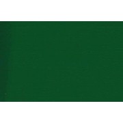 Картон ARGO Delta A4/250г/м2 зеленый