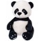 STIP-Panda 23cm