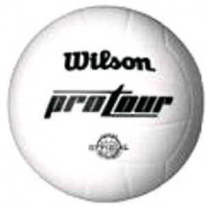Minge volei Pro Tour Indoor, marimea 5