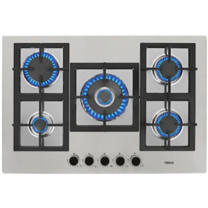 Варочная панель Teka EFX 70.1 5G AI AL DR CI